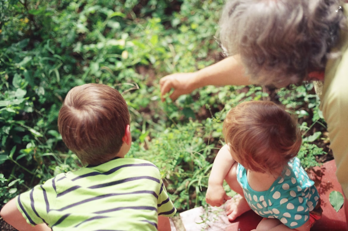 Grandparents’ Rights